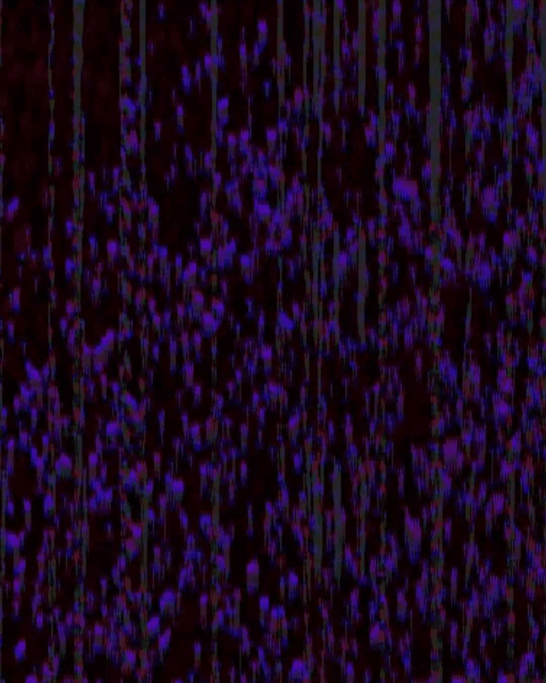 Robot Noise V1